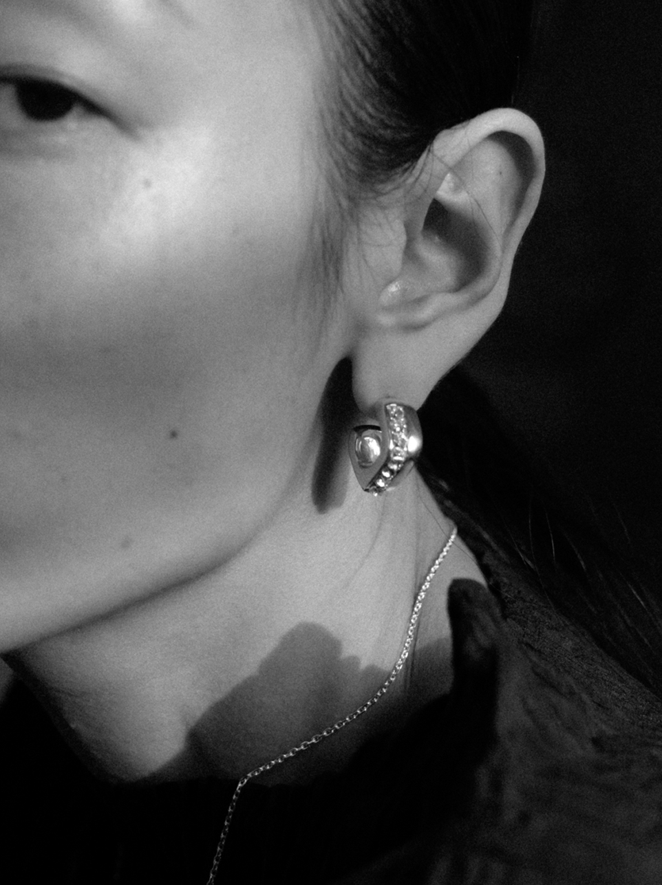 Shine cubic earring